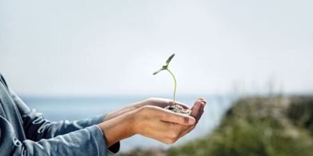 To hænder holder en plante med udsigt til en solbeskinnet strand i baggrunden. Foto: Colourbox.